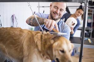 Animal Caretakers | ASVAB Career Exploration Program